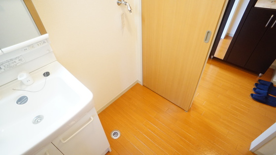 その他部屋・スペース　室内洗濯機置場