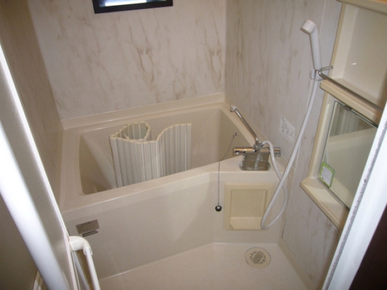 バス・シャワールーム　他号室のお写真です