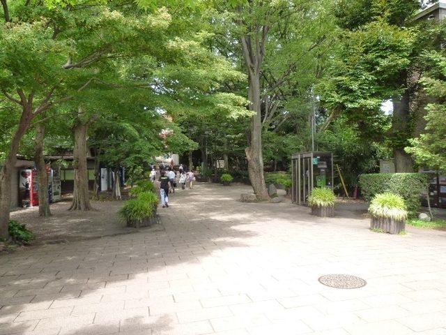 その他　井の頭公園（その他）まで1400m