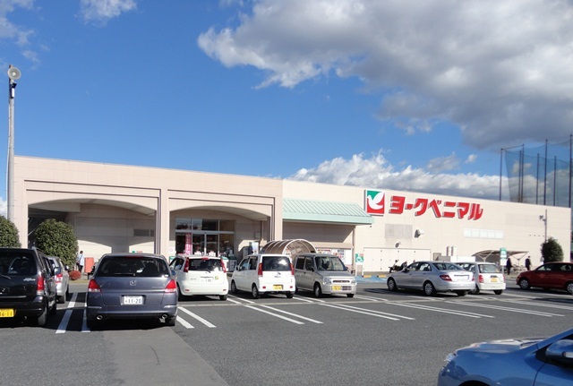 スーパー　ヨークベニマル石井店（スーパー）まで1147m