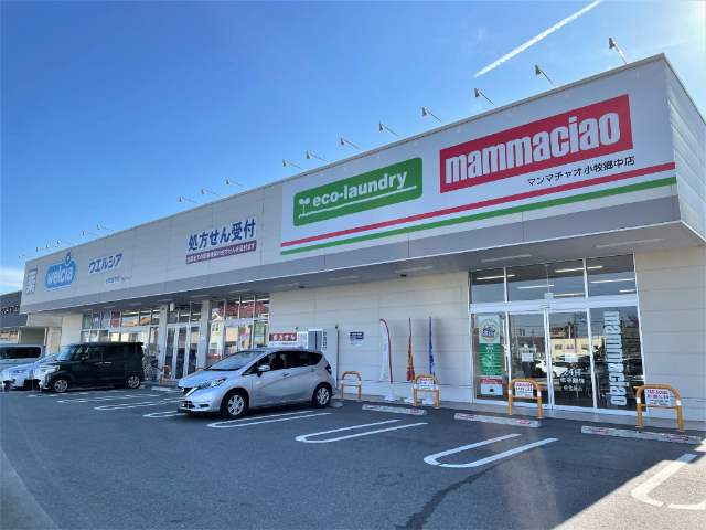 ドラックストア　ウエルシア　小牧郷中店（ドラッグストア）まで700m
