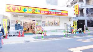 ドラックストア　どらっぐぱぱす駒込店（ドラッグストア）まで628m