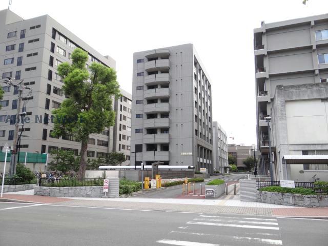大学・短大　国立愛媛大学（大学・短大）まで1052m