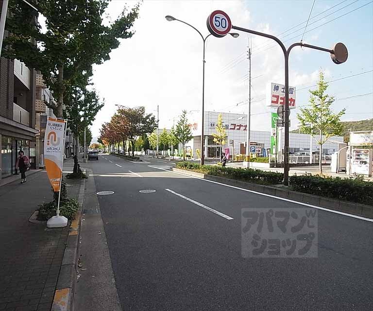 その他　前面道路です