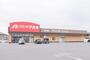 ドラックストア　クスリのアオキ 田中島店（ドラッグストア）まで1322m