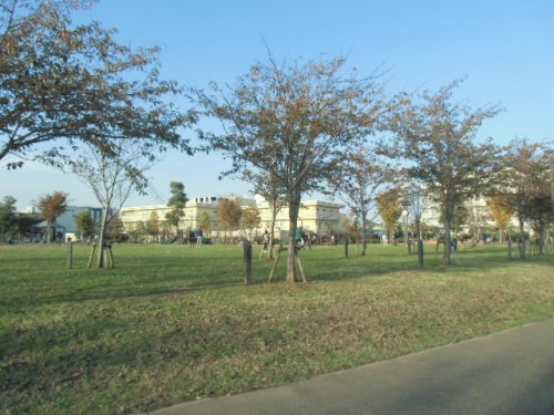 公園　広尾防災公園（公園）まで668m