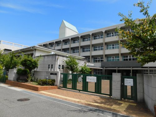 中学校　神戸市立鷹匠中学校（中学校）まで656m