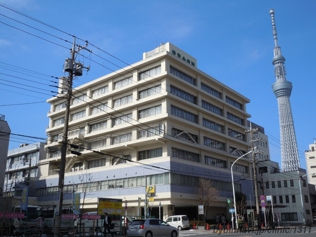 病院　社会福祉法人賛育会賛育会病院（病院）まで451m