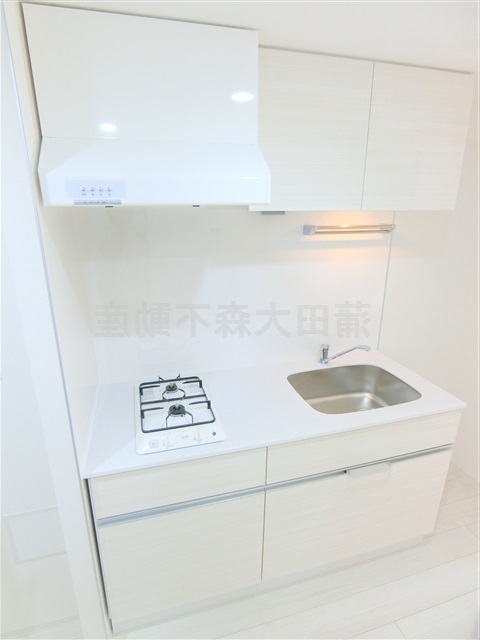 キッチン　2口ガスシステムキッチン