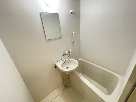 バス・シャワールーム　※別部屋の写真です