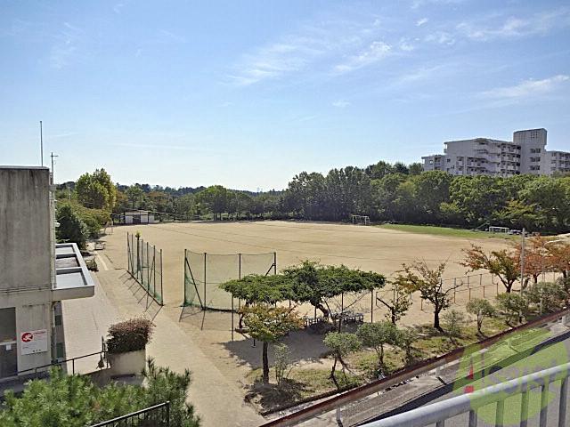 小学校　泉丘小学校（小学校）まで500m