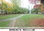 公園　琴似なかよし公園（公園）まで541m