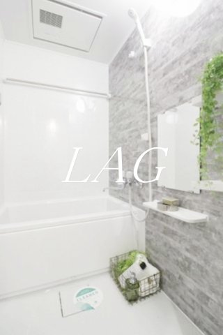 バス・シャワールーム　お風呂です。（家具家電等ございません。）