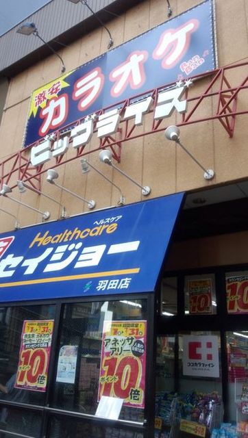 スーパー　ビッグライズ羽田店（スーパー）まで716m