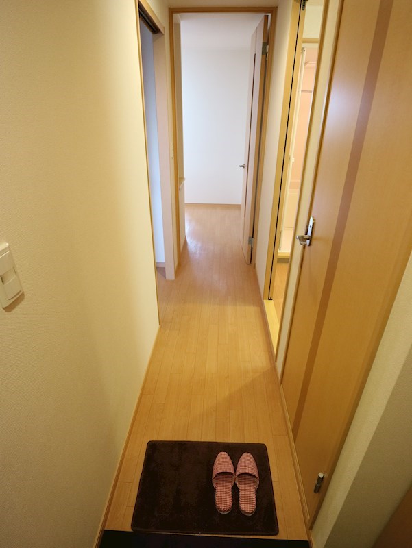 玄関　写真は同型タイプです。