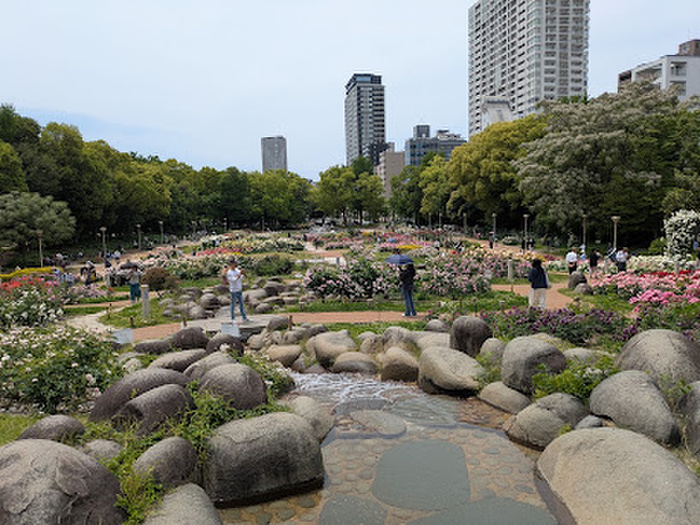 公園　靱公園（公園）まで35m
