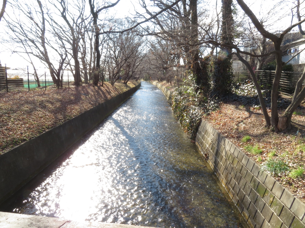 その他　玉川上水（その他）まで80m