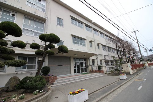 中学校　堺市立三国丘中学校（中学校）まで489m