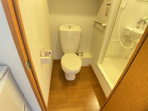 トイレ　設備・仕様は号室により異なる為、現況を優先致します。