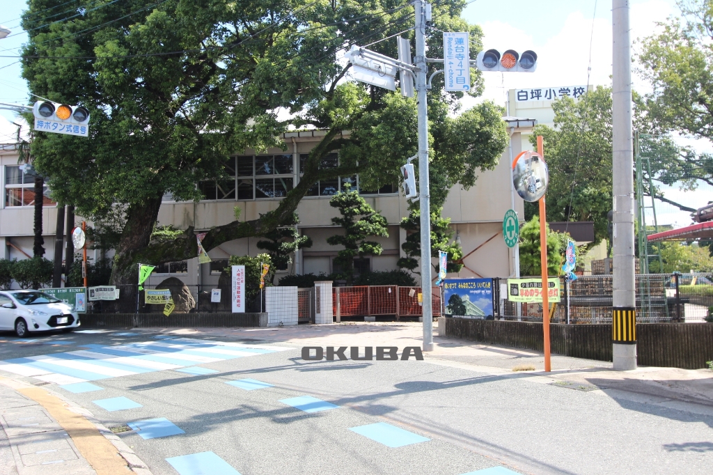 小学校　熊本市立白坪小学校（小学校）まで761m
