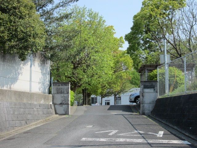 小学校　植木小学校（小学校）まで1000m