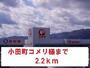 ホームセンター　コメリ様（ホームセンター）まで2200m