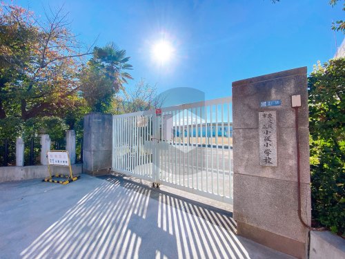 小学校　東大阪市立小阪小学校（小学校）まで853m