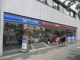 コンビニ　ナチュラルローソン NL東上野五丁目店（コンビニ）まで304m