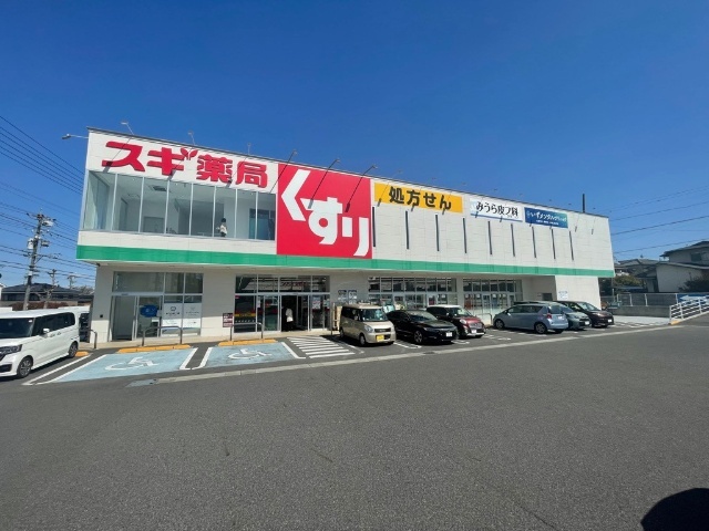 ドラックストア　スギ薬局原南店（ドラッグストア）まで354m