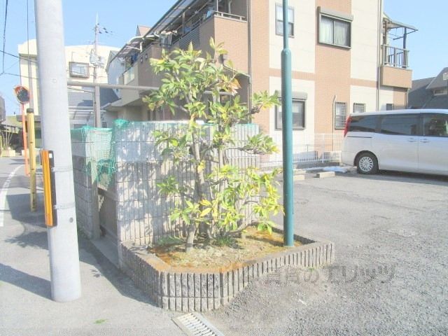 庭　植栽
