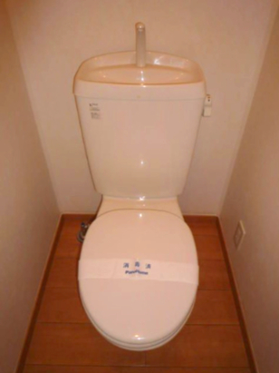 トイレ　トイレです
