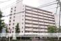 ストークマンション綾瀬 6階 築49年2ヶ月の賃貸物件