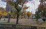 公園　鷺洲上公園（公園）まで1000m