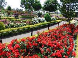 公園　足立区立新田さくら公園（公園）まで1008m