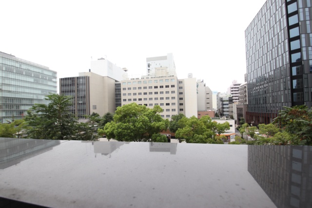 眺望　※別室の参考写真の為、現況優先です。