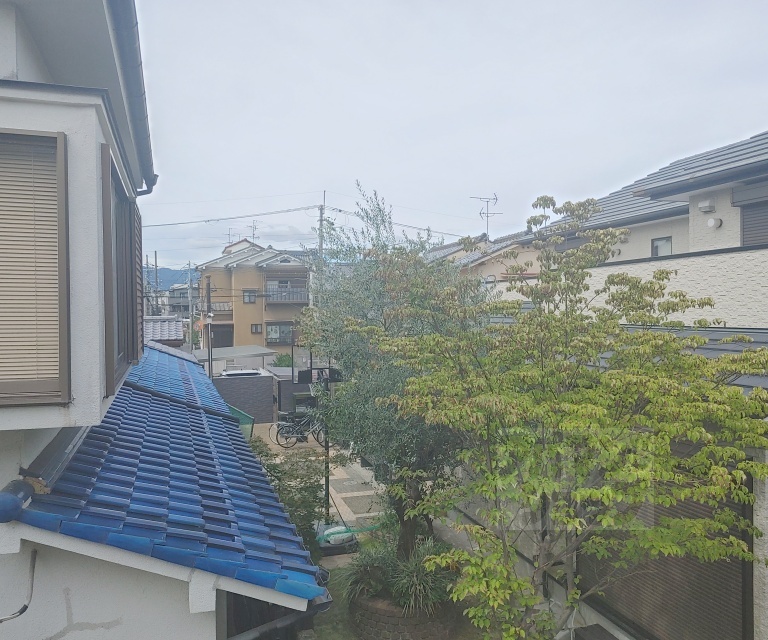 眺望