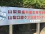 その他　山梨県歯科衛生専門学校（その他）まで499m