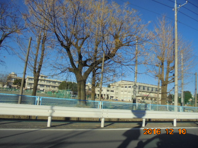 中学校　大原中学校（中学校）まで542m