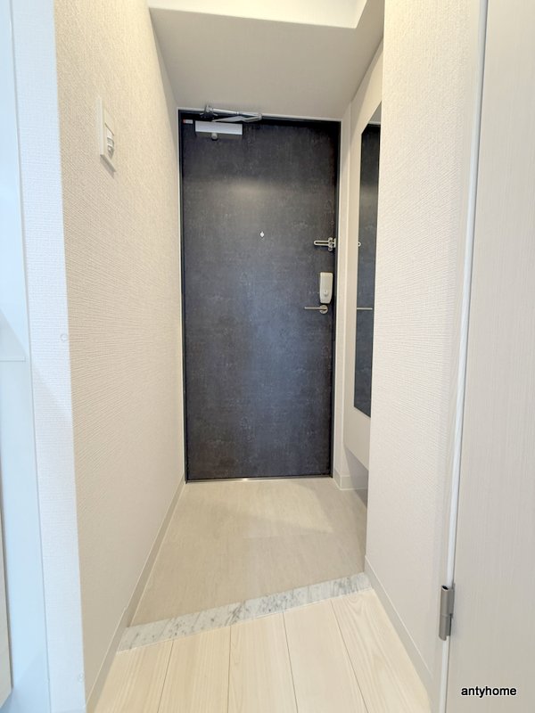 エスリード大阪NEXUSの玄関写真