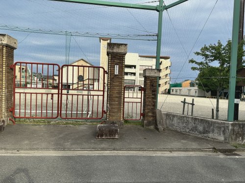 小学校　新川小学校（小学校）まで807m