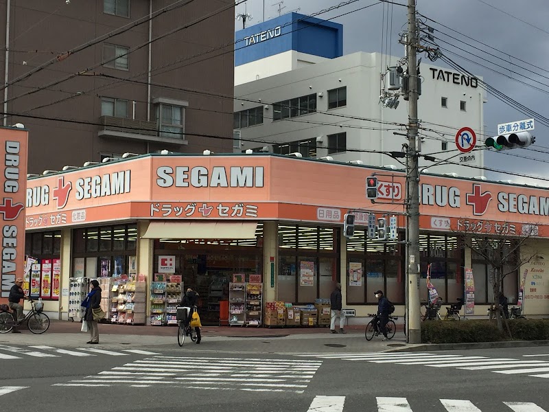 ドラックストア　ドラッグセガミ内代店（ドラッグストア）まで599m