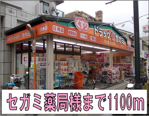 ドラックストア　セガミ薬局様（ドラッグストア）まで1100m