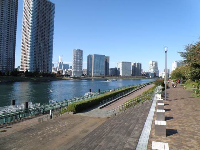 公園　越中島公園（公園）まで1140m