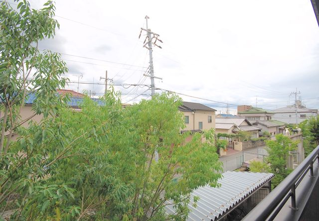 眺望　景観