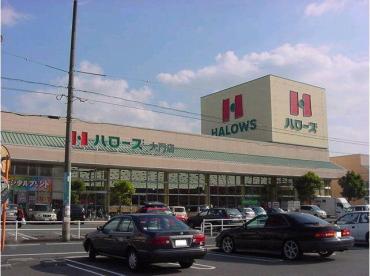 スーパー　ハローズ 大門店（スーパー）まで172m
