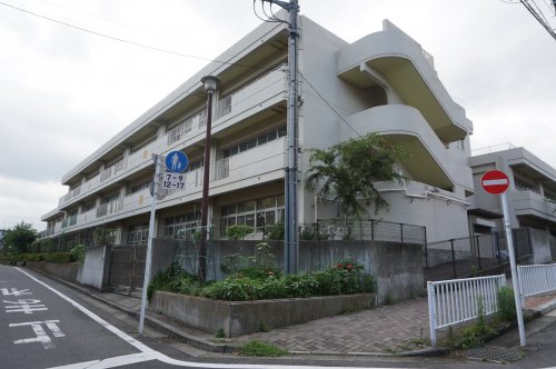 小学校　横浜市立富士見台小学校（小学校）まで228m