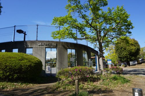 公園　清水ヶ丘公園（公園）まで337m