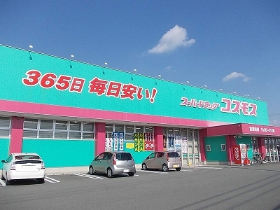 その他　コスモス藍住店様まで800m