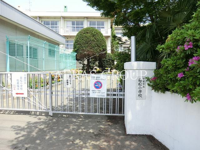 小学校　千葉市立若松小学校（小学校）まで1124m