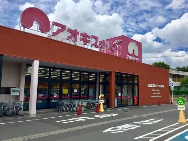 スーパー　アオキスーパー豊明店（スーパー）まで666m
